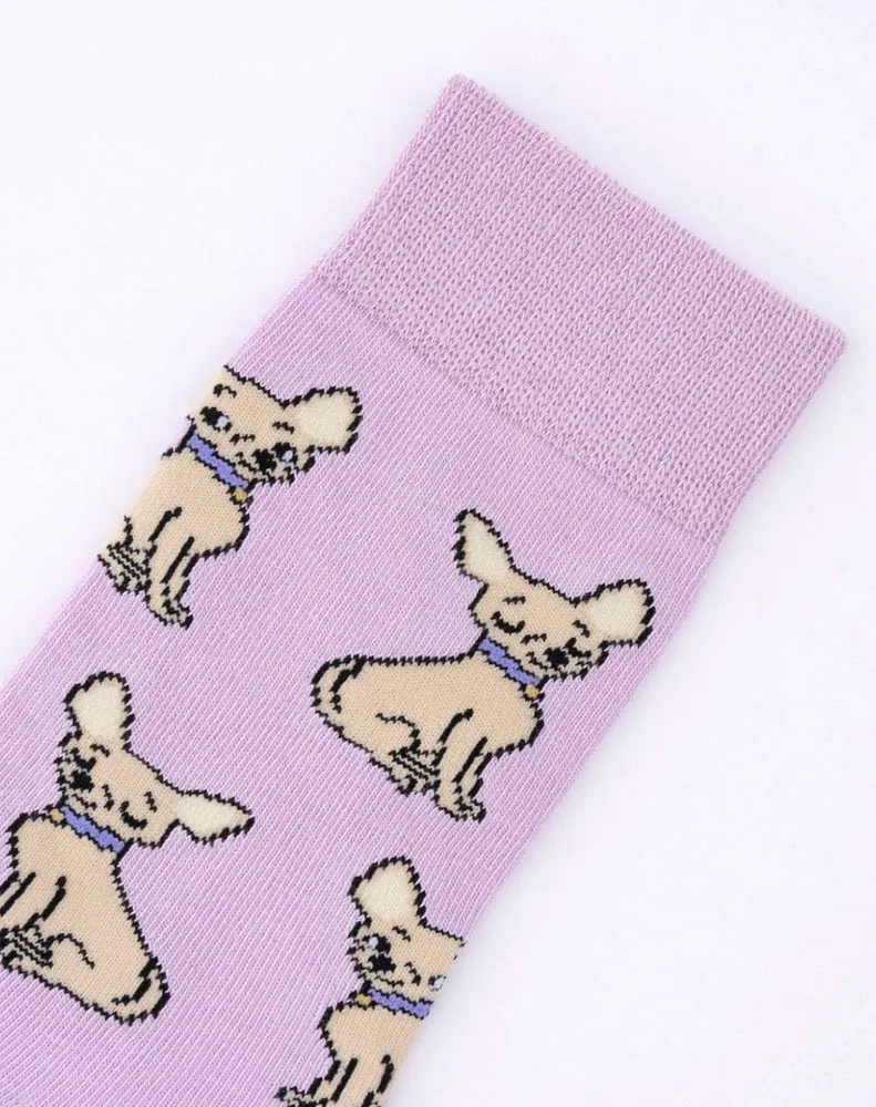 CHIHUAHUA SOCKS